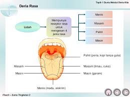 To contain small amounts of substances. Soalan Sains Tingkatan 1 Dalam Bahasa Melayu Kebaya Mudo