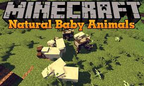 Nov 03, 2021 · place the mod you have just downloaded (.jar file) into the mods folder. Natural Baby Animals Mod Para Minecraft 1 14 1 13 2 Minecraftdos