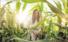 Katy Perry Prism Wallpaper Hd Katy Perry Katy Perry Unconditionally Perry Unconditional, unconditionally i will love you unconditionally there is no fear now let go and just be free i will love you unconditionally. katy perry prism wallpaper hd katy