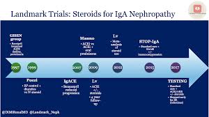 Sitemizi ziyaret ederek 'i̇ga i̇stanbul havalimanı çerez politikası'nda. Landmark Nephrology Highlights A Common Clinical Conundrum Steroids For Iga Nephropathy Renal Fellow Network