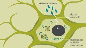 All png & cliparts images on nicepng are best quality. Orphazyme Raises 80m In Oversubscribed Ipo European Biotechnology