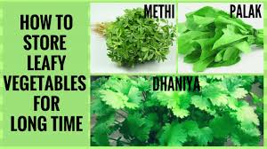 Line it with paper towels, wash and dry the greens, dump them inside, seal the lid, and throw it in the refrigerator. How To Keep Your Leafy Greens Fresh For Longer Part 1 How To Clean And Store Green Vegetables Youtube
