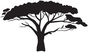 Also, find more png clipart about africa clipart,isolation clipart,leaf clip art. African Tree Silhouette Png Clipart Gallery Yopriceville High Quality Images And Transparent Png Free Clipart