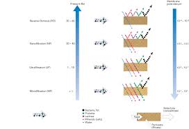 membrane technology dairy processing handbook