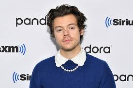 Generally speaking, harry styles's hairstyle has remained static since his rise to fame, always maintaining some sort of long hairstyle. Did Harry Styles Dye His Hair Darker