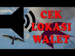 Menentukan Lokasi Walet Dengan Cara Cek Lokasi Walet Youtube Rumah Burung Burung Walet Burung