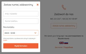 You can either work out your iban based on the example above, or find everything you need by logging into ing bank śląski sa online banking, or checking your bank statement. Ing Bank Slaski Infolinia Kontakt Sprawdz Numer Infolinii Godziny Kontaktu