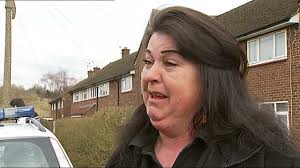 164 Searle Stock Videos, Footage, & 4K Video Clips