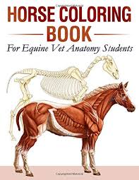 Coloring veterinary anatomy book pdf saunders x1080 astonishing photo ideas americangrassrootscoalition incredible image inspirations. Veterinary Anatomy Coloring Book 2e 9781455776849 Medicine Health Science Books Amazon Com