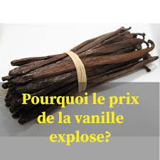 Prix De La Vanille Au Kilo En France 2021 Achat Gousse Vanille Bourbon Vanille Gousse De Vanille Gousse