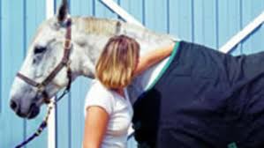 Your Blanketing Questions Answered The Horse Owners Resource