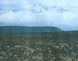 Its fur is highly valued en los elevados ambientes de la cordillera huayhuash predominan los hábitat de pajonal de puna. Aspecto De Puna Seca En El Departamento De Tacna S De Peru Download Scientific Diagram
