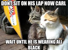 We did not find results for: 25 Funny Cat Memes That Will Make You Lol
