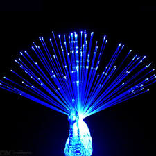 Cheap novelty lighting, buy quality lights & lighting directly from china suppliers:led flower lights lotus light buddha lamp fo lamp novelty artistic optical fiber flower enjoy free shipping worldwide! Novelty Light Toy Peacock Open Screen Fiber Optic Glowing Finger Lights For Party Decoration 3pcs Random Color Free Shipping Dealextreme