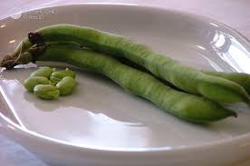 Le fave sono un legume versatile e ricco di fibre. Ingrediente Fave Le Ricette Dello Spicchio D Aglio