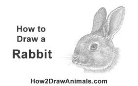 This is obviously a very simple easter bunny face to recreate because of the round head, and long pointed ears. How To Draw A Rabbit Head Detail