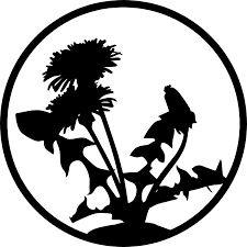 Lisateavet wells termite & pest control kohta leiate veebisaidilt www.wellspestcontrol.net. Well S Termite Pest Control Llc Serving Lee Collier Counties Fl