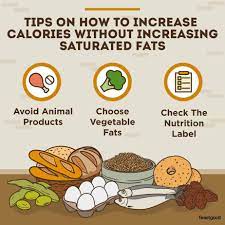 Top 10 Foods High In Calories But Low In Saturated Fats - Feastgood.com