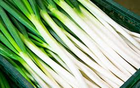 From fresh local produce to everyday essentials, shop at zion market for your favorite korean ingredients! Wddilukzkz T4m