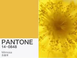 9 18 2019年pantone流行色出炉 外加历年年度流行色最全分析 颜色 fruit pineapple mimosa