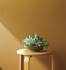 What is the best accent colour to match shaker beige? Yellow Paint Ideas Benjamin Moore