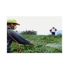 Are you looking for pest control service in faridabad? Herbal Pest Control Services Herbal Pest Control Green Star Pest Control Bengaluru Id 10863313030