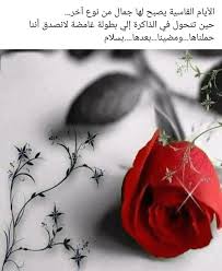 Pin By Sahar Haddad On Spirito Perduto Beautiful Arabic Words Arabic Quotes Touching Words