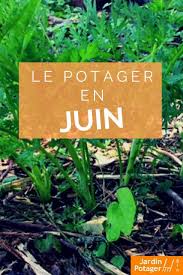 Agenda Mensuel Du Jardinier Potager Facile Jardinage Potager Que Planter En Juin