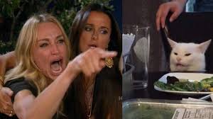 99 Funny Zoom Virtual Backgrounds To Download Man Of Many White Cat Meme Woman Meme Cat Memes