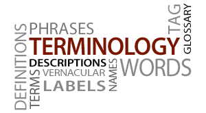 Intentional communication is the key to keeping your team informed, focused, and moving forward. Iec Standards Development Resources Role Of Terminology In Scientific And Technical Communication