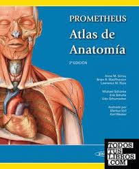 Todos los libros del autor Ross Michael