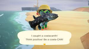 Full List Of Every Fish Prices And How To Catch Them In Animal Crossing New Horizons In 2020 Animal Crossing Animal Crossing Fish Animals