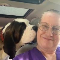 70+ "Neece" profiles