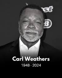 CelebrationExoticCarFestival (@celebrationexoticcar) · Instagram 照片和视频