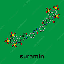 Image result for Suramin