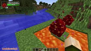 Dragon ball minecraft mod has had 0 updates within the past 6 months. Dragon Mounts Mod 1 10 2 1 7 10 Ride Tame Dragons 9minecraft Net