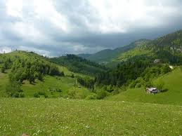 It administers one village, tohanu nou. Piatra Craiului National Park Romania Picture Of Transylvanian Wolf Zarnesti Tripadvisor