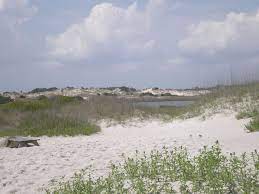 Hammocks Beach State Park North Carolina I Used To Live In Onslow County N C And Would Regularly Go To This Beach I State Parks Beach Hammock Places To Go