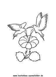 Ausmalbild wellensittich papagei ausmalbilder kostenlos. Ausmalbild Kolibri 1 Zum Ausdrucken