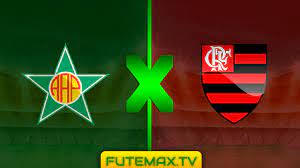 Assista hoje dia 22/05/2021 as 21h05 (de brasília) o jogo flamengo x fluminense no campeonato carioca ao vivo em hd aqui no top canais! Pagina 9 Flamengo Ao Vivo