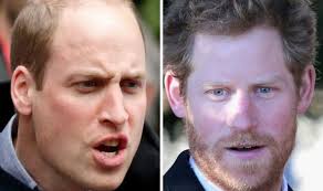 Prince william hair before and after. Prince Harry S Brutal Hair Loss Swipe At Prince William Exposed Royal News Express Co Uk