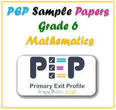 Pep Grade 6 Mathematics Sample Paper 2019 Practice Test Questions