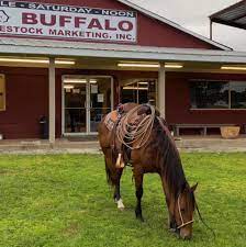 We did not find results for: Buffalo Livestock Marketing Inc Home Facebook