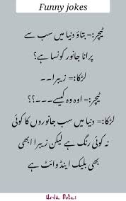 Pin On Urdu Jokes