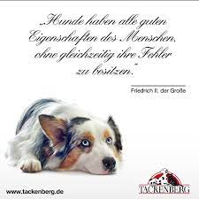 Hunde Haben Alle Guten Eigenschaften Des Menschen Ohne Gleichzeitig Ihre Fehler Zu Besitzen Friedrich Ii Der Grosse Quot Hunde Hund Und Katze Schlaue Zitate