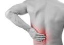 exercices pour soulager le mal de dos et viter la hernie discale