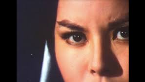 Jin fen you long (1982)