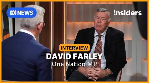 Immigration rates under One Nation will be 'not too different' to Labor | Insiders | ABC NEWS