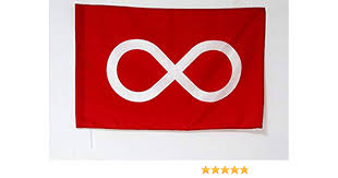 I have included a variety of games, partner activities, projects, graphic organizers, and projects that will appeal to all learner. Amazon Com Az Flag Metis People Of Manitoba And Northwest Territories Flag 2 X 3 For A Pole Metis Flags 60 X 90 Cm Banner 2x3 Ft With Hole Garden Outdoor