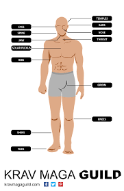 Human Weak Points For Self Defense Everyboby Should Know